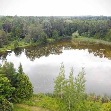 Cottage Retreat On 11 Acres 플레셔튼 외부 사진